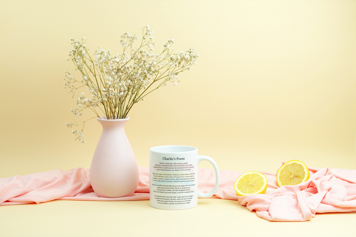 Add a mug to your order