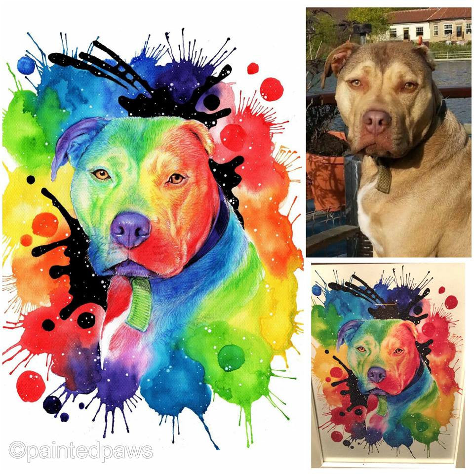 Rainbow Inspired Painted Paw-painted-paws