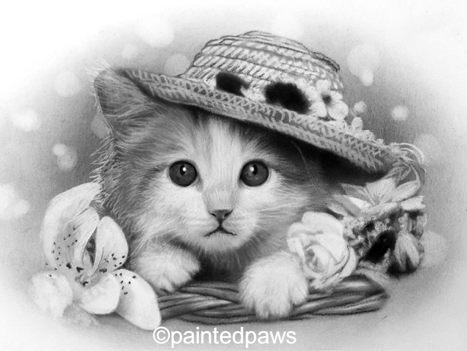 Graphite and charcoal-painted-paws