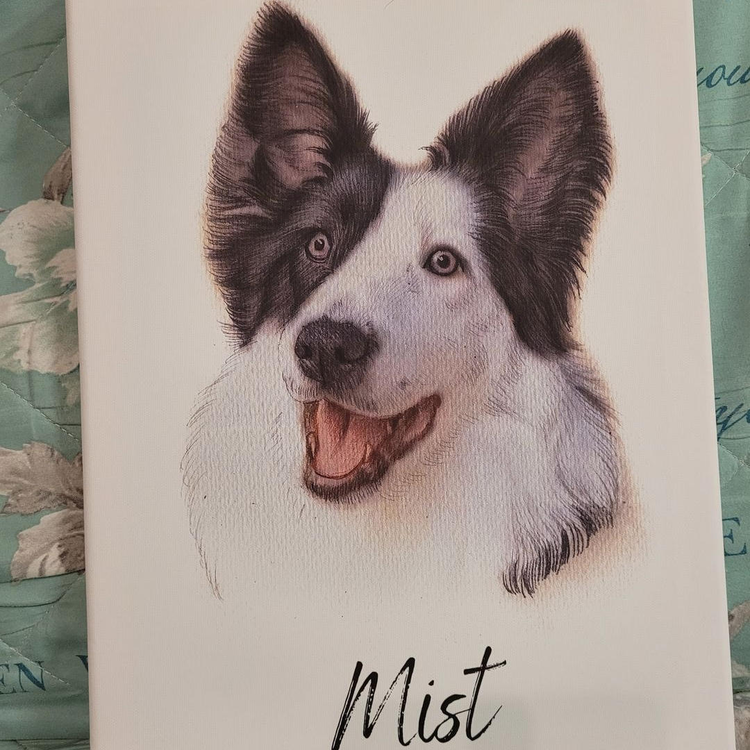 Coloured pencil pet portrait - A4 print