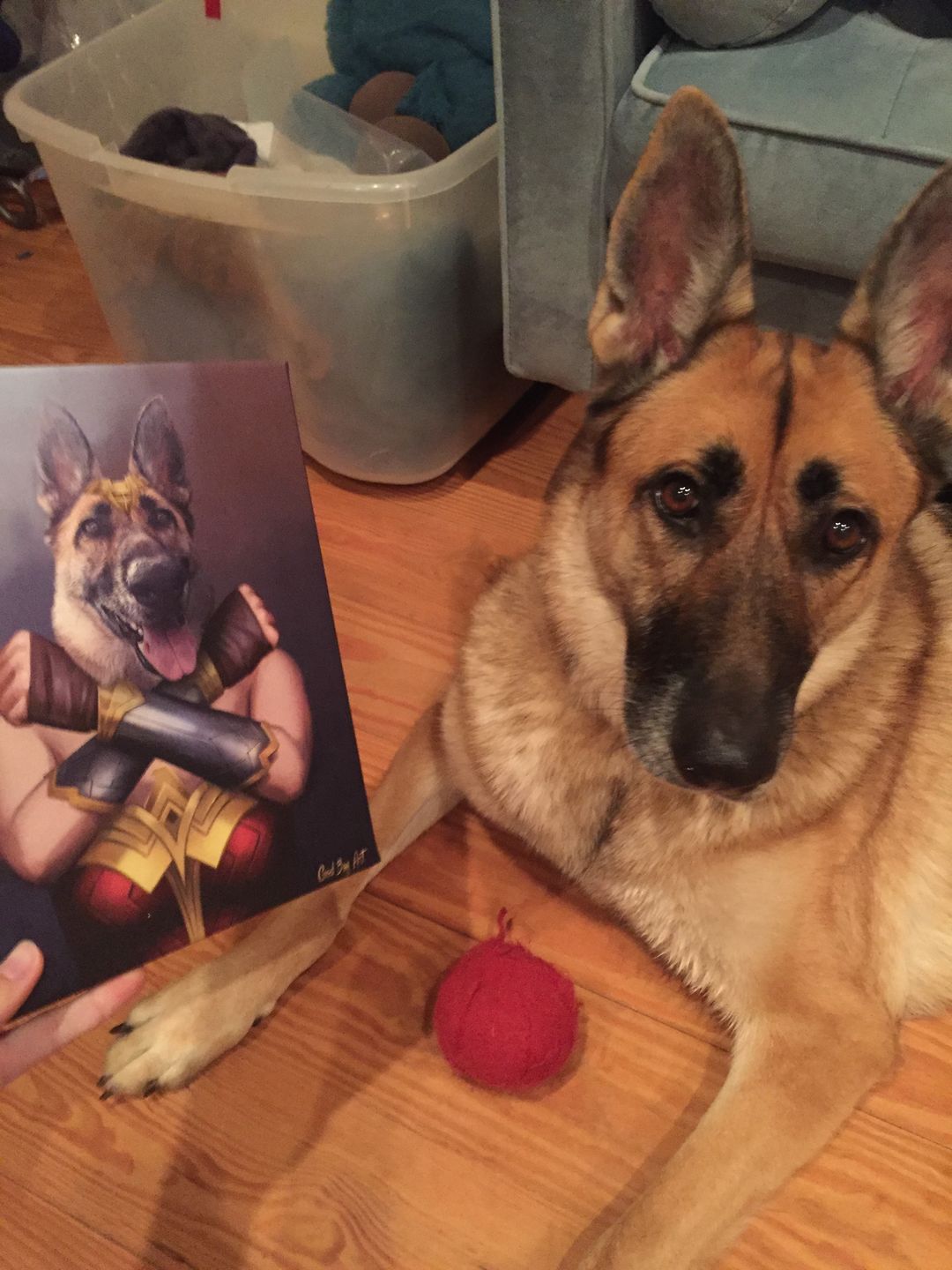 "Wonder Wag" - Painted Paw Pawtrait