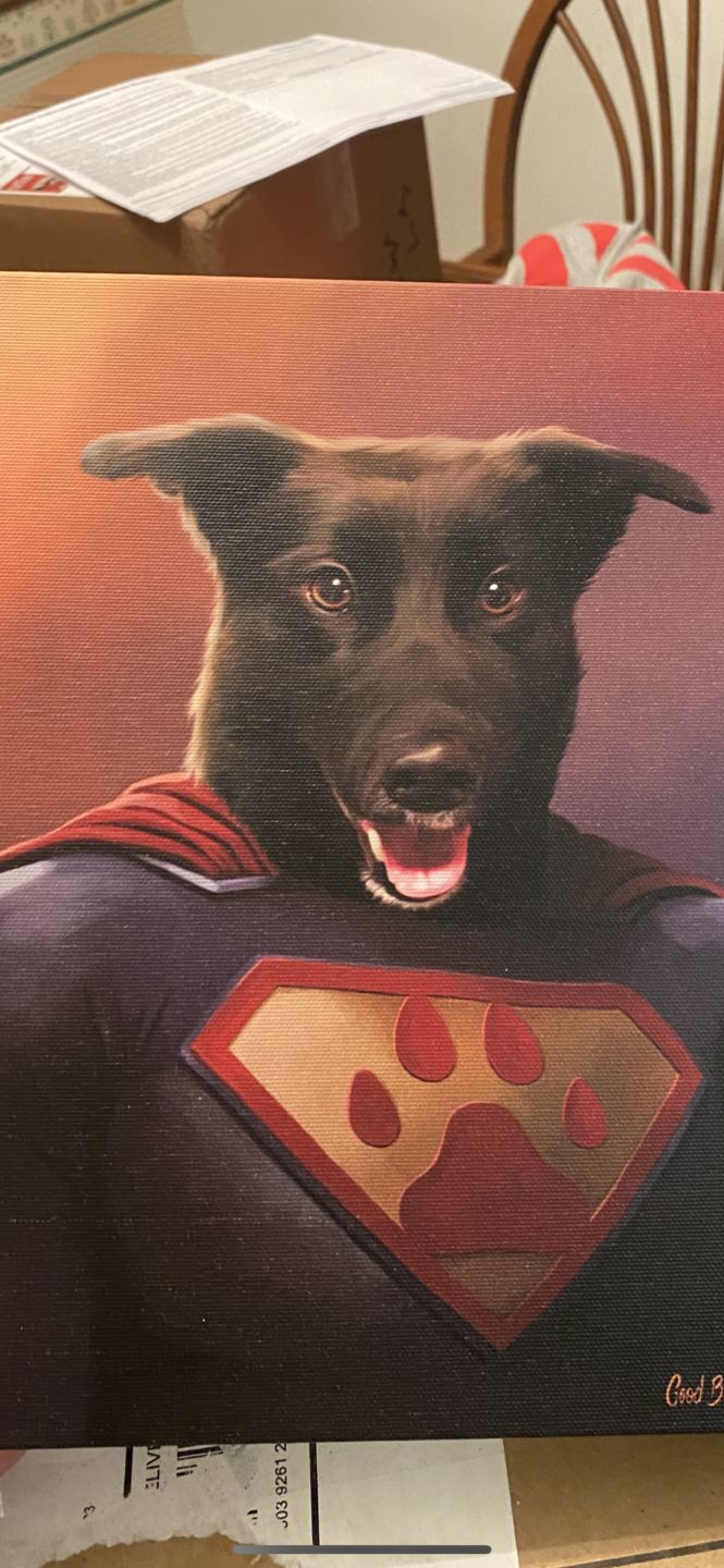 "It's a Bird!" - Painted Paw Pawtrait
