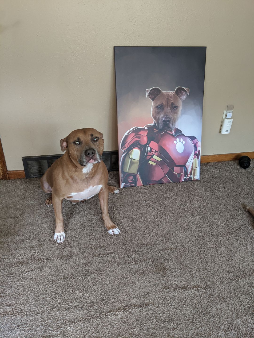 "Bony Stark" - Painted Paw Pawtrait