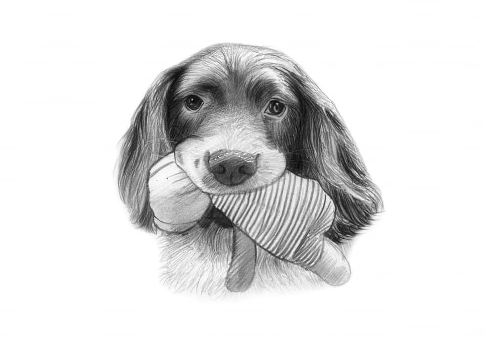 Black & White Pencil Portrait-painted-paws