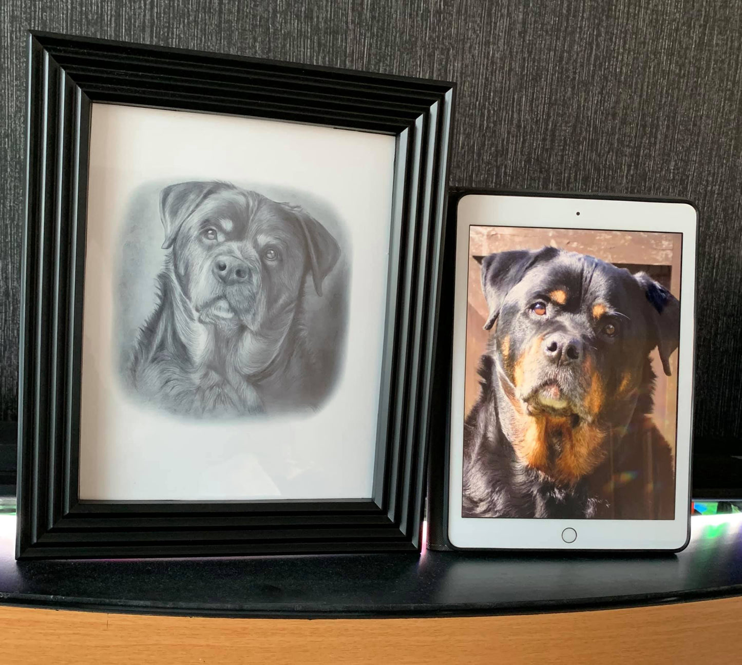 Black & White Pencil Portrait-painted-paws