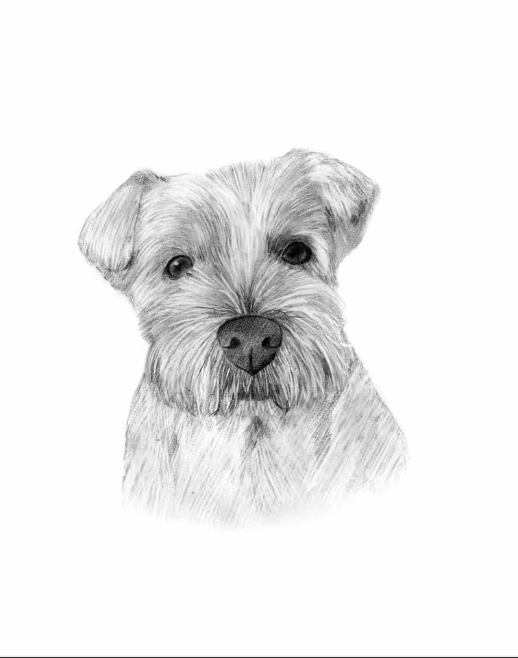 Black & White Pencil Portrait-painted-paws