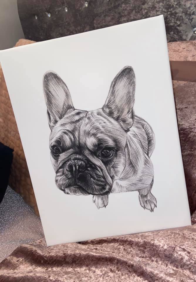 Black & White Pencil Portrait-painted-paws