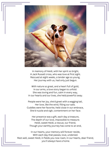 Rainbow Bridge Remembrance Package