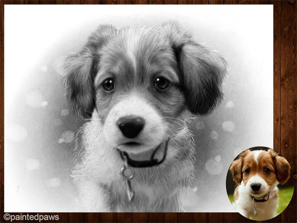 Graphite and charcoal-painted-paws