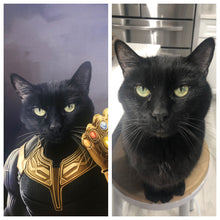 Load image into Gallery viewer, &quot;Infinity Bones&quot; - Painted Paw Pawtrait
