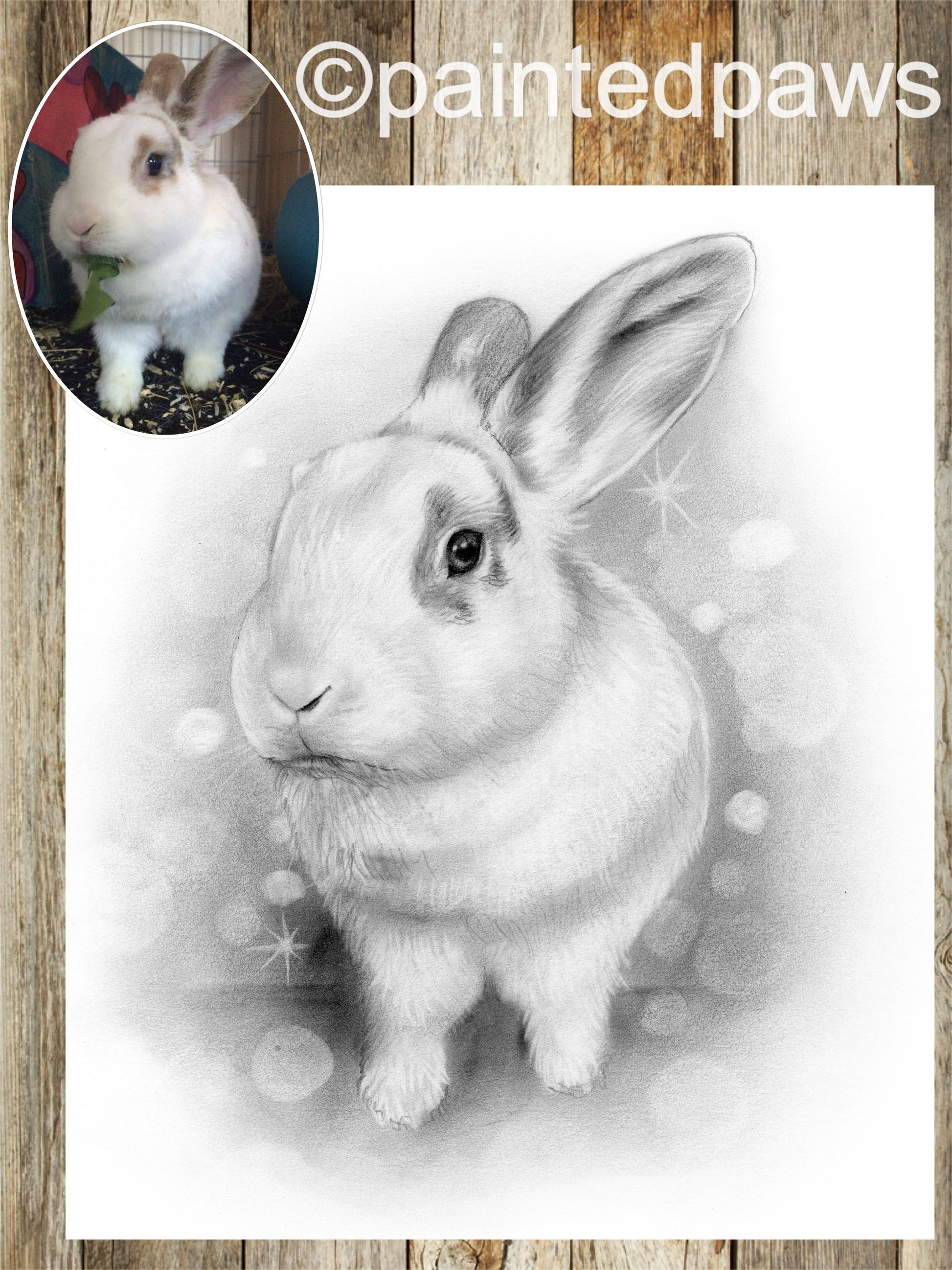 Graphite and charcoal-painted-paws