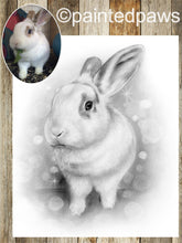Load image into Gallery viewer, Graphite and charcoal-painted-paws
