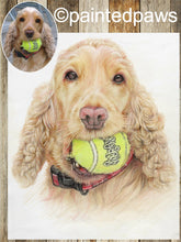 Load image into Gallery viewer, Coloured pencil pet portrait-painted-paws
