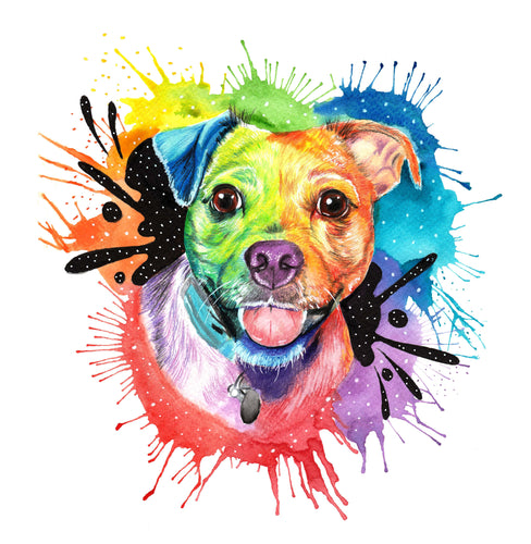 Rainbow Inspired Painted Paw-painted-paws