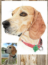 Load image into Gallery viewer, Coloured pencil pet portrait-painted-paws
