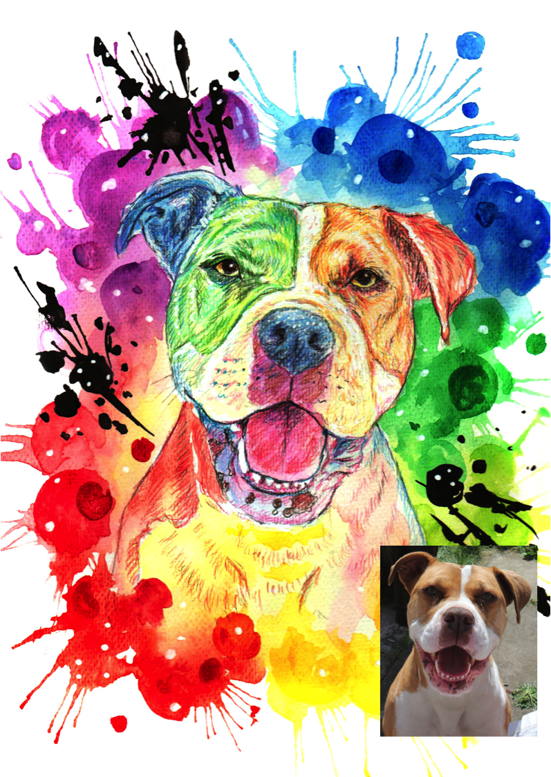 Rainbow Inspired Painted Paw-painted-paws