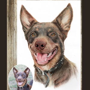 Coloured pencil pet portrait*